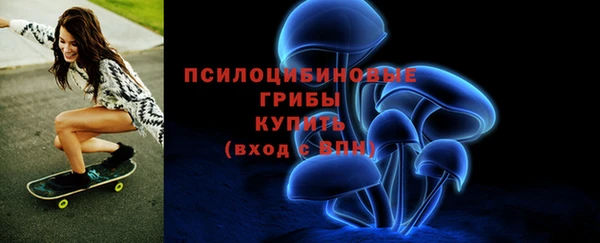 эйфоретик Вяземский