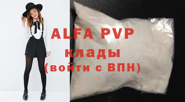 эйфоретик Вяземский
