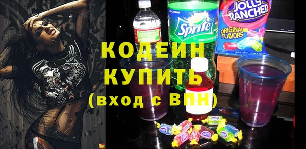 эйфоретик Вяземский