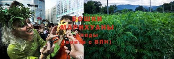 ECSTASY Покачи