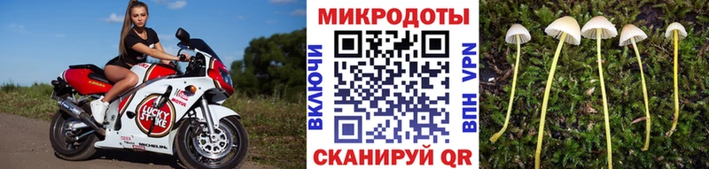 где найти наркотики  Елец  omg ссылка  Псилоцибиновые грибы MAGIC MUSHROOMS 
