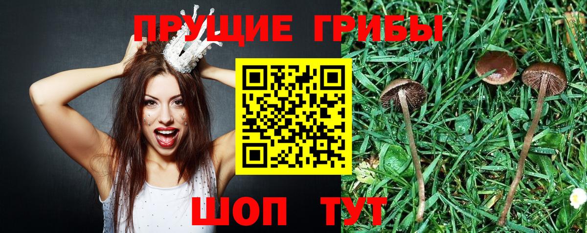 Псилоцибиновые грибы ЛСД  где найти наркотики  Елец  Вход с VPN 
