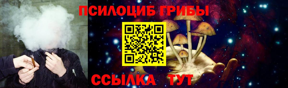 Галлюциногенные грибы ЛСД Елец